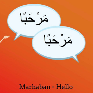 Arabic Professional Language classes